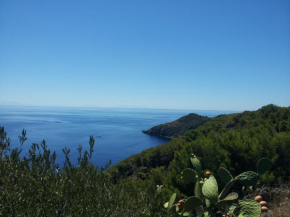 Ustica